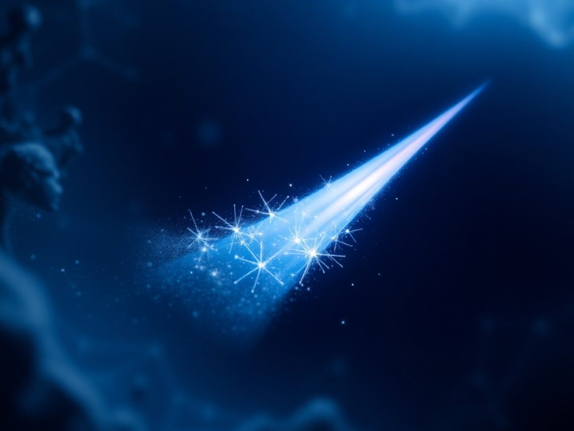 Stellar dynamisé par la DTCC : les investisseurs s’intéressent désormais aux solutions de scalabilité Bitcoin